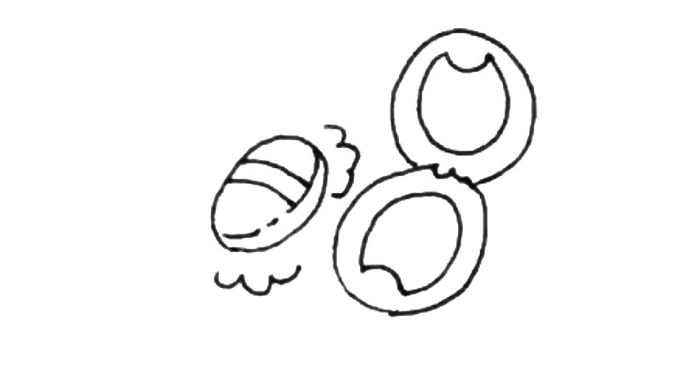 粉饼简笔画画法步骤