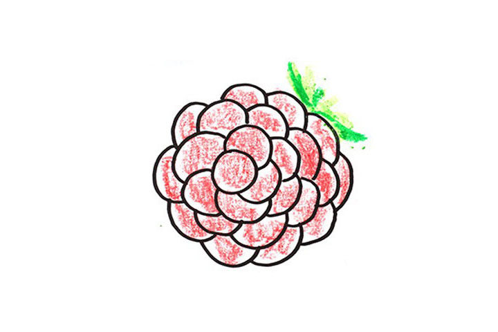 葡萄简笔画画法教程