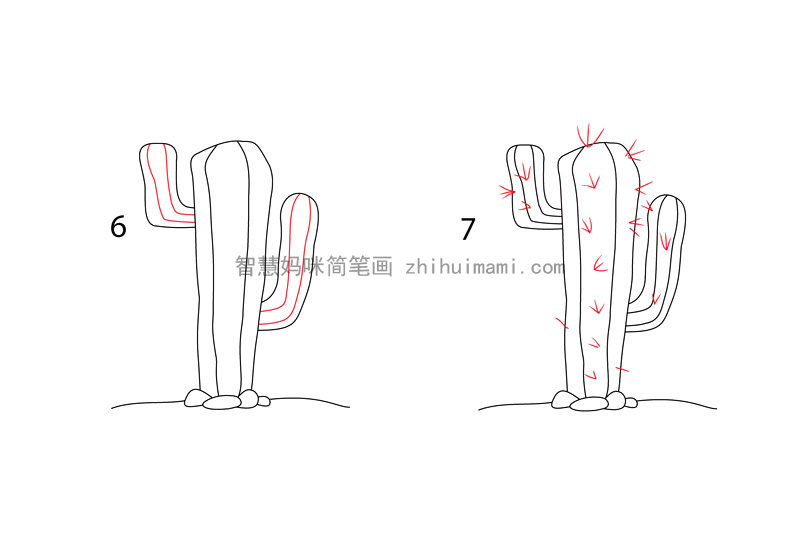 高大的仙人掌简笔画画法步骤