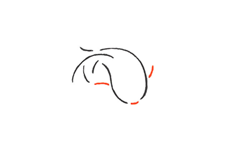 红红火火画锦鲤 红火锦鲤升级款2