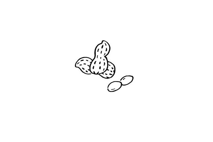 花生简笔画画法步骤