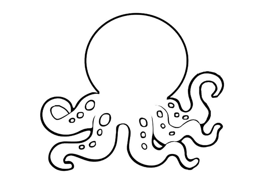 会变色的章鱼简笔画画法步骤