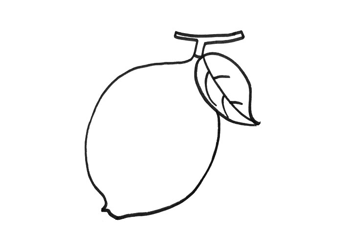 简单的柠檬简笔画画法