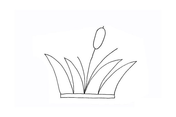 芦苇简笔画画法步骤