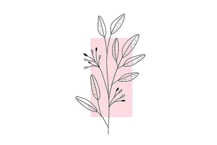 植物花草简笔画12种漂亮的小草简笔画图片