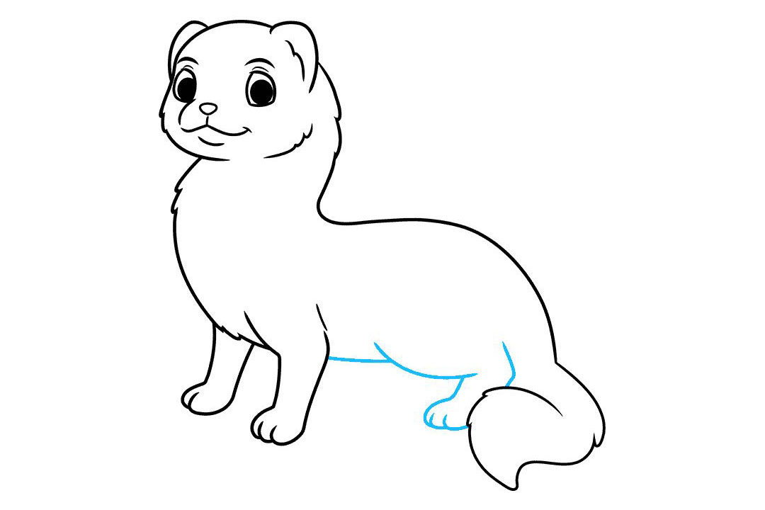 雪貂怎么画
