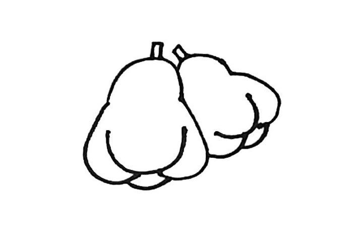 莲雾简笔画画法步骤