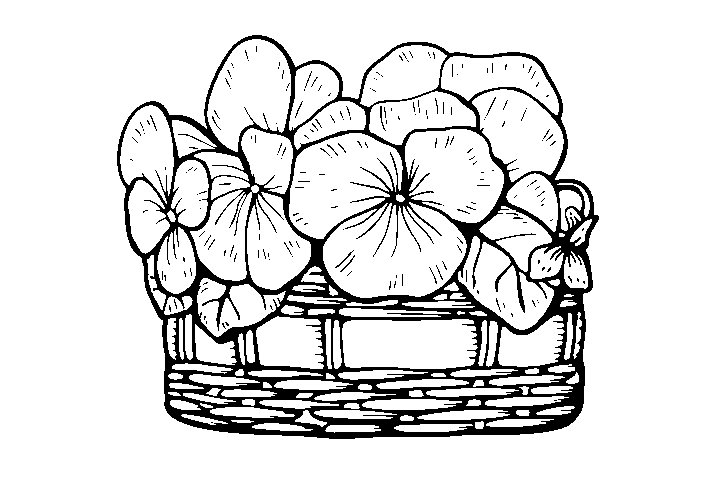 漂亮的花篮填色画