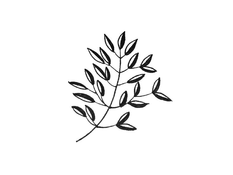 一组可爱的小叶子简笔画图片