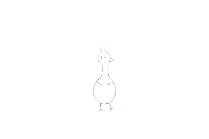 孔雀开屏怎么画