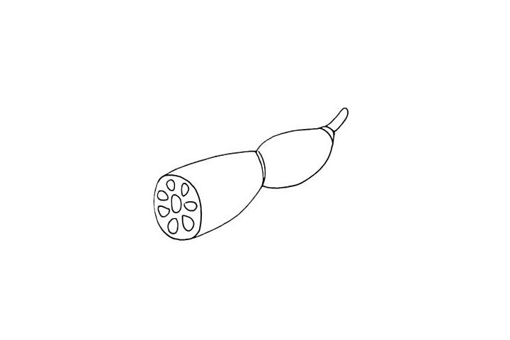 莲藕简笔画画法步骤