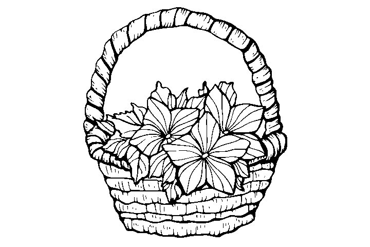 漂亮的花篮填色画