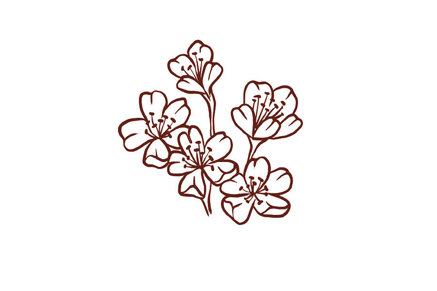 邮寄一份小花花简笔画画法教程
