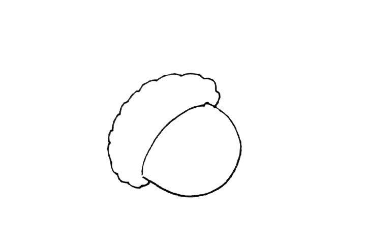 橡果简笔画画法步骤