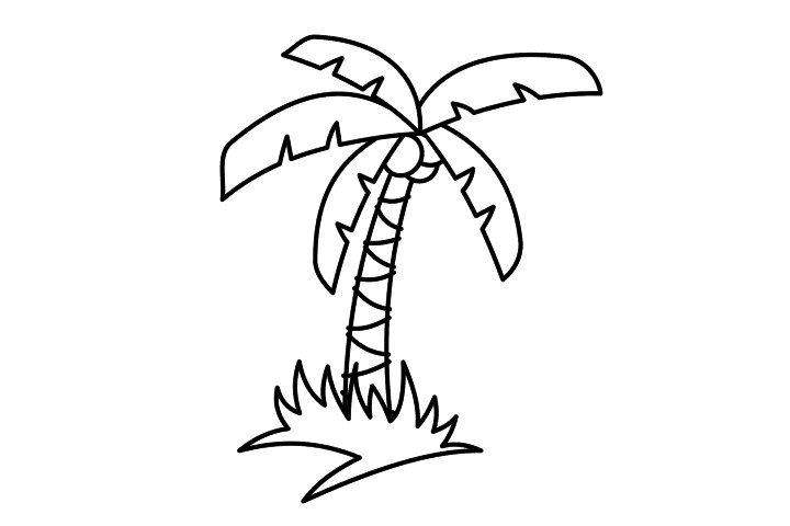 热带棕榈树简笔画图片