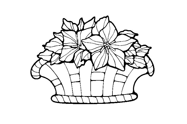 漂亮的花篮填色画