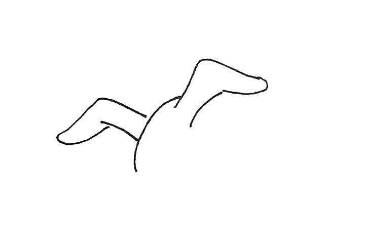 海鸥简笔画画法步骤