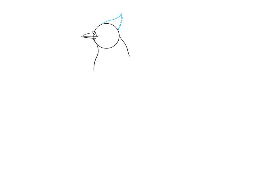 如何画蓝鸦