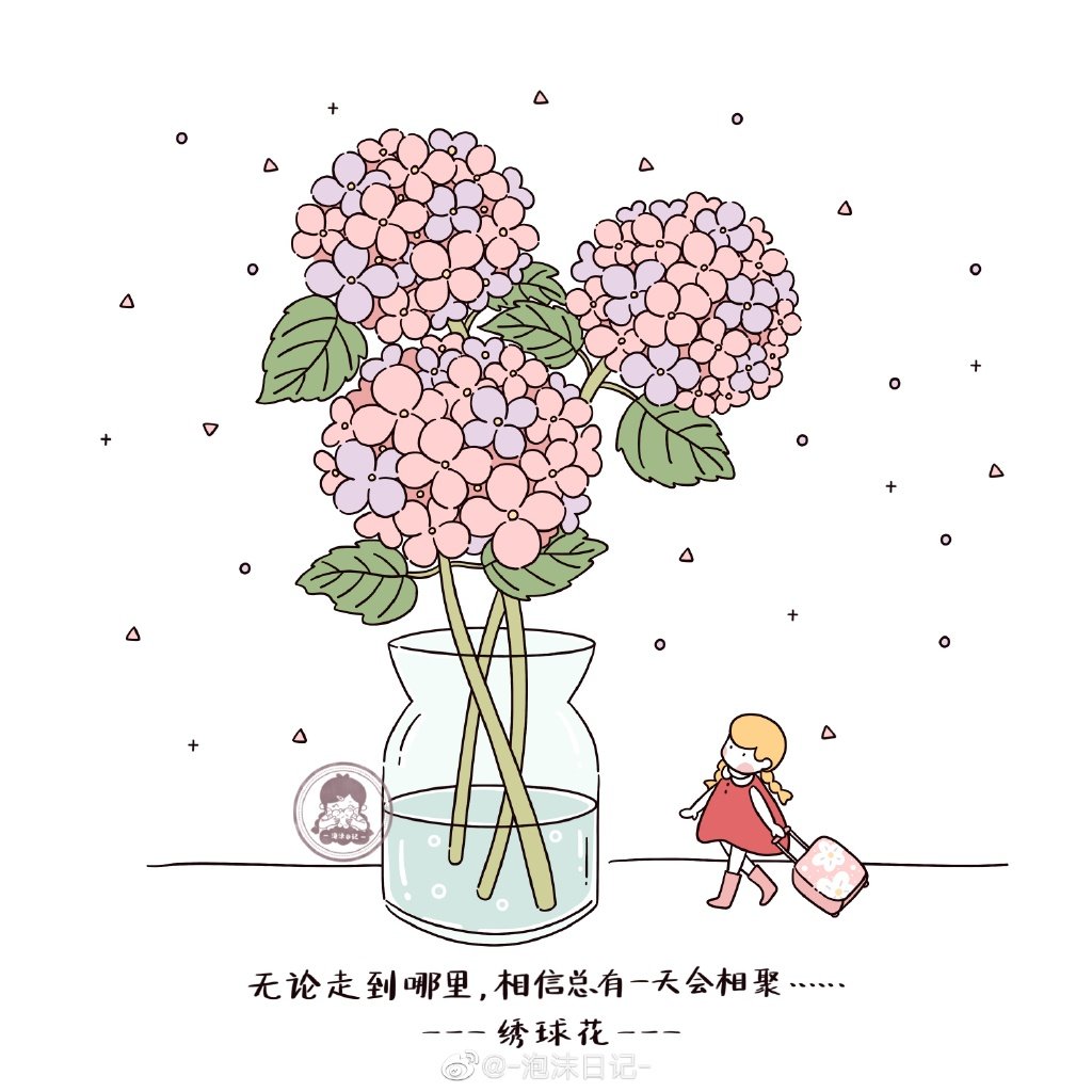 花花与女孩 静静地聆听花开的声音，和花花们来一场心灵的对话！