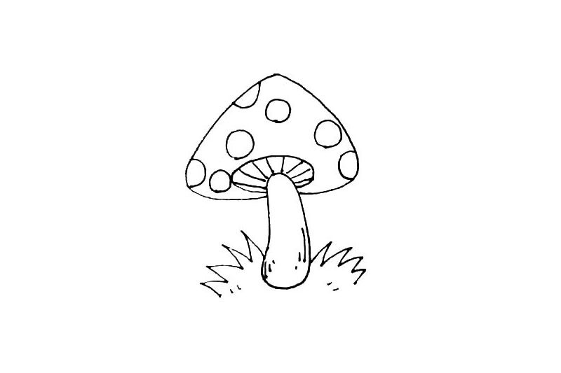 漂亮的蘑菇简笔画画法