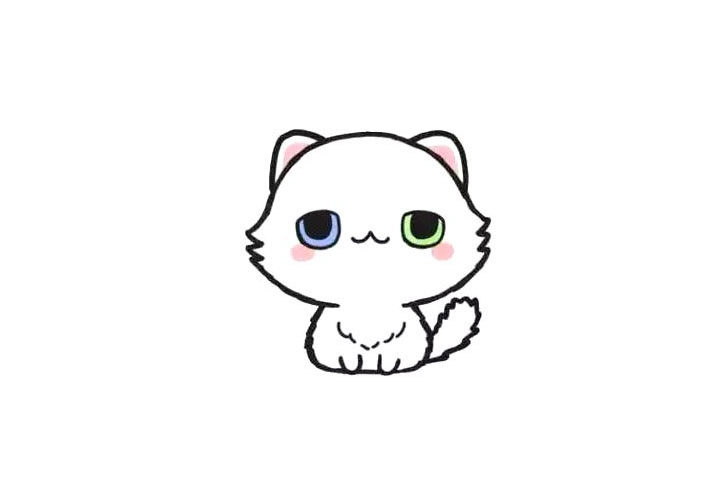 波斯猫简笔画画法步骤