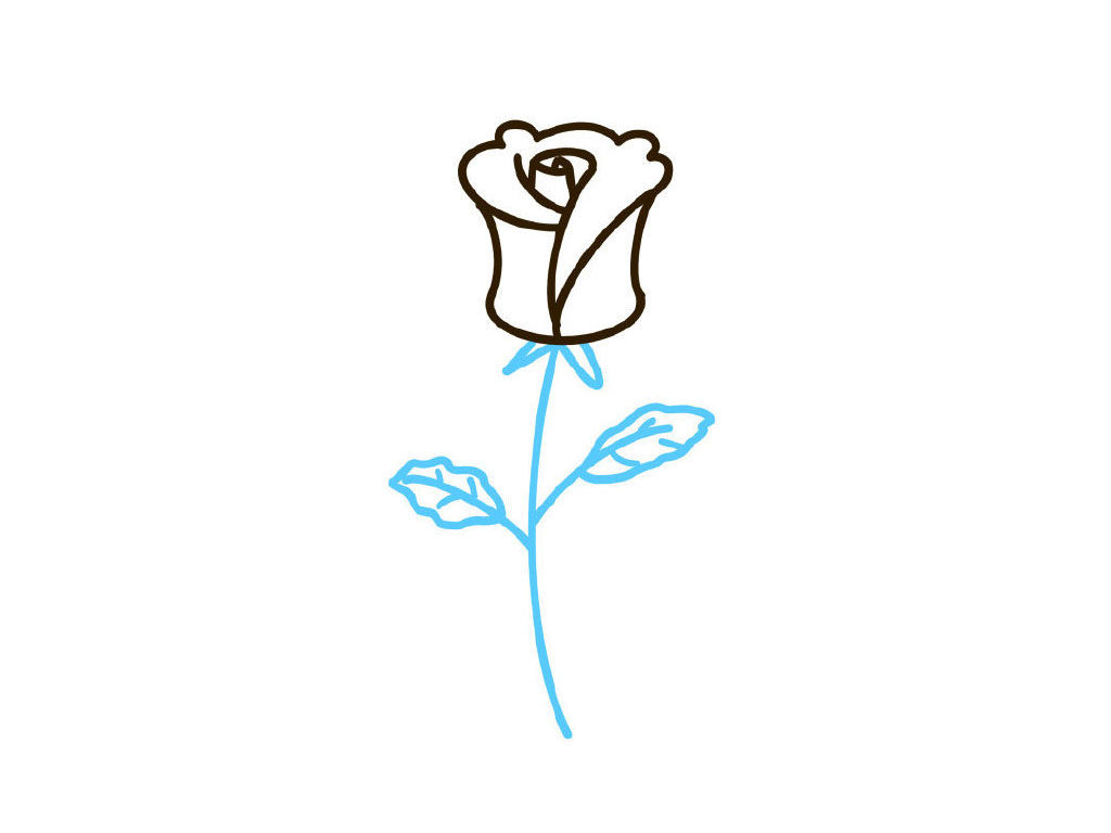 玫瑰花简笔画教程