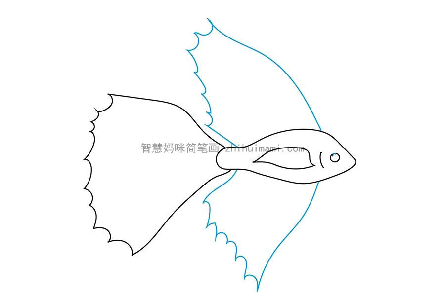简单漂亮的斗鱼简笔画画法步骤