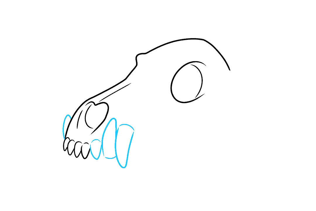 狼的头骨简笔画步骤