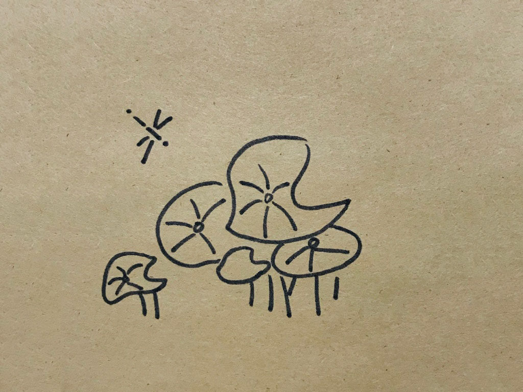 荷叶风景简笔画图片
