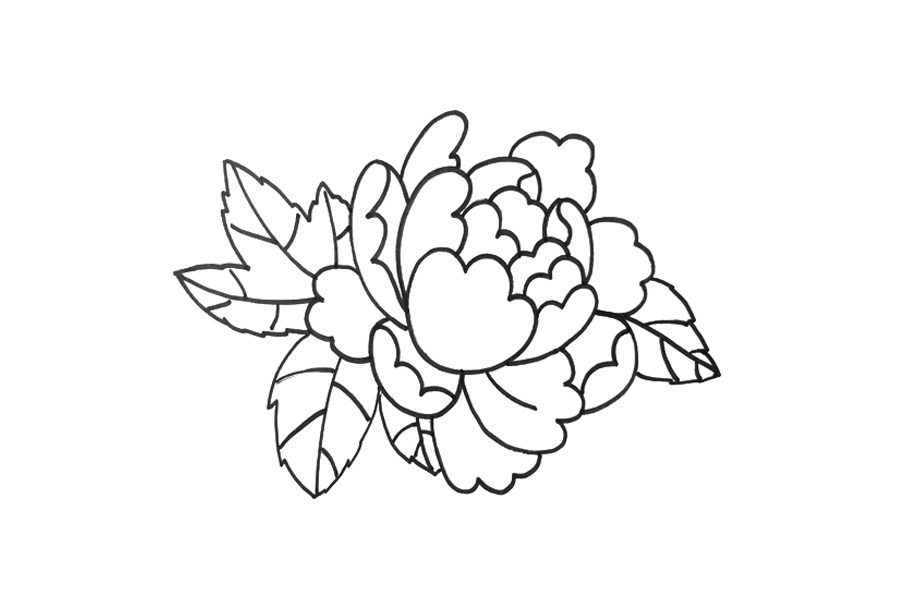 一步一步学画牡丹