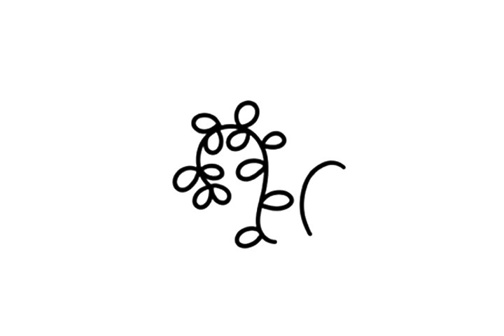 漂亮的小叶子简笔画画法