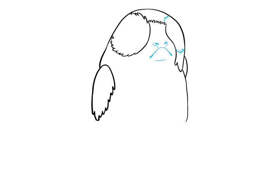 星球大战波格鸟简笔画步骤