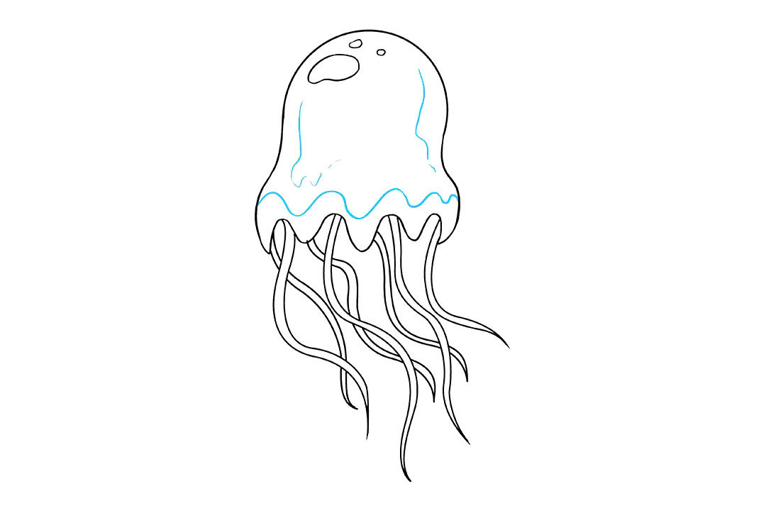 水母怎么画