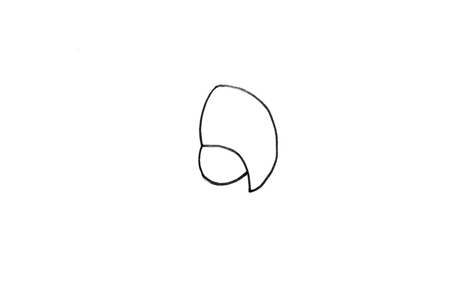 动物简笔画大全 鹦鹉简笔画怎么画