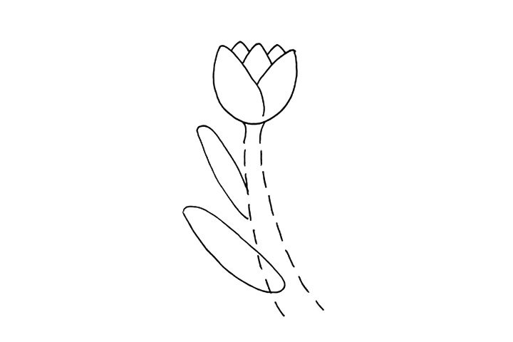 简单四步画漂亮的郁金香