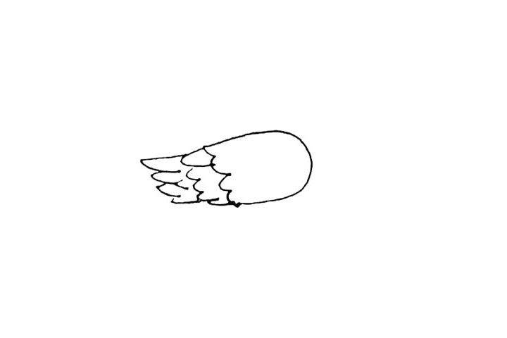 黄鹂简笔画画法步骤