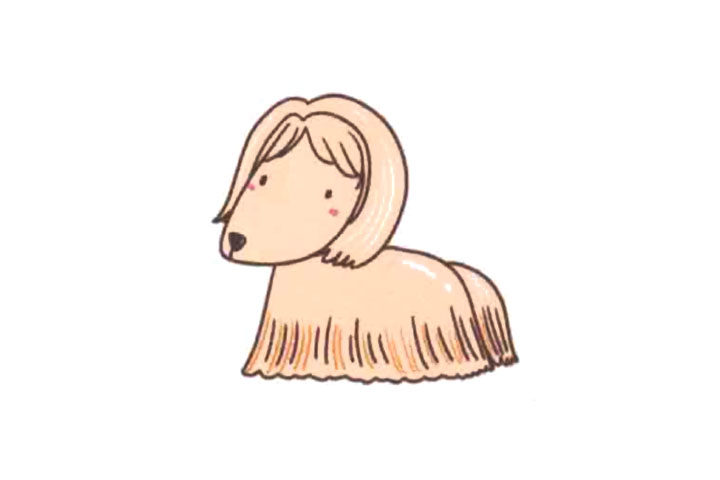 简单的小狗阿富汗猎犬简笔画画法
