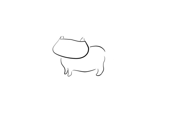 口罩猫简笔画画法步骤