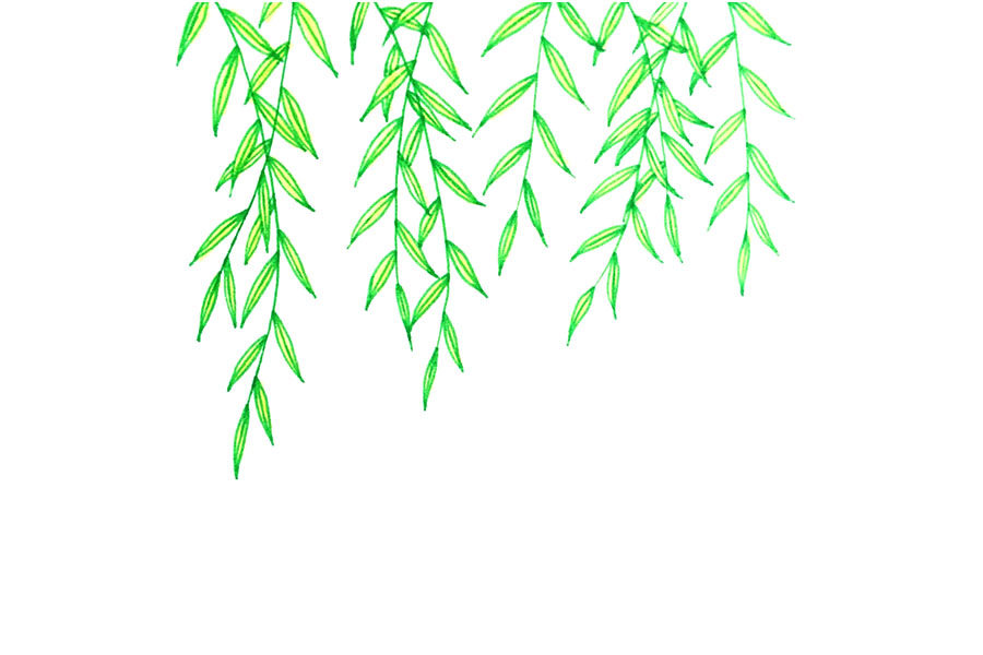 如何画春天的藤蔓植物