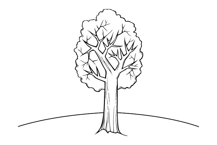 简单好画的树木简笔画