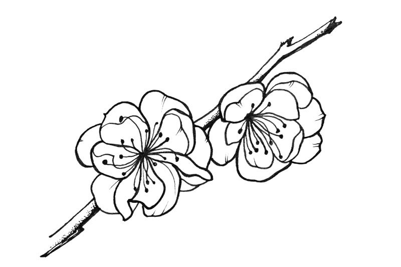 小花简笔画图片漂亮简单