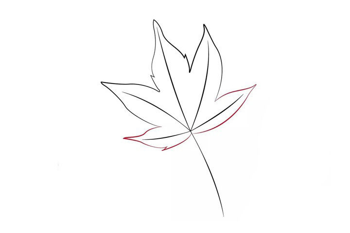 枫叶简笔画画法步骤