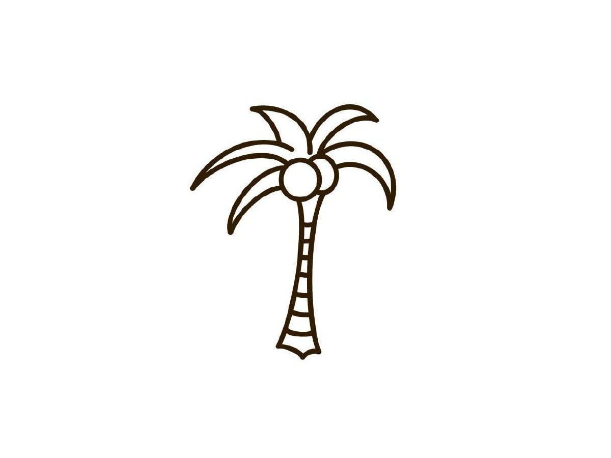 椰子树简笔画画法步骤
