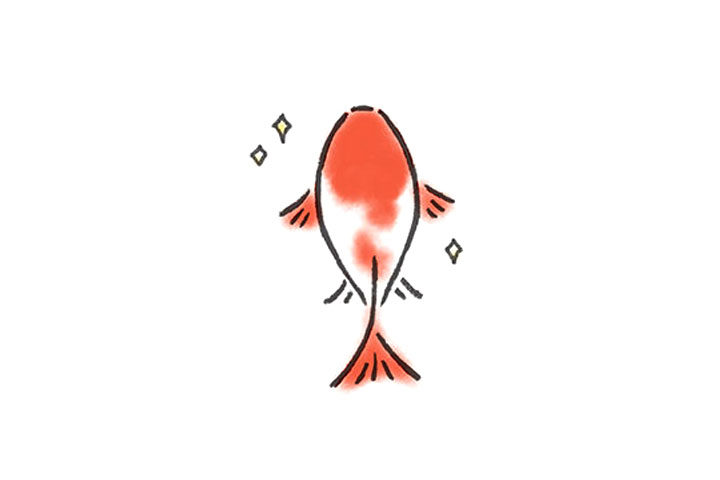 红红火火画锦鲤 红火锦鲤基本款
