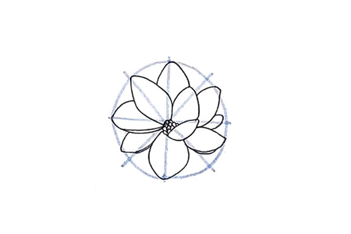 详细花朵绘画步骤 木兰花花朵简笔画画法