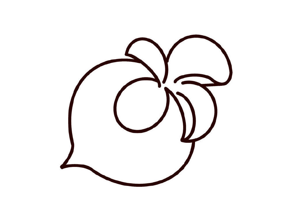 大头菜简笔画教程
