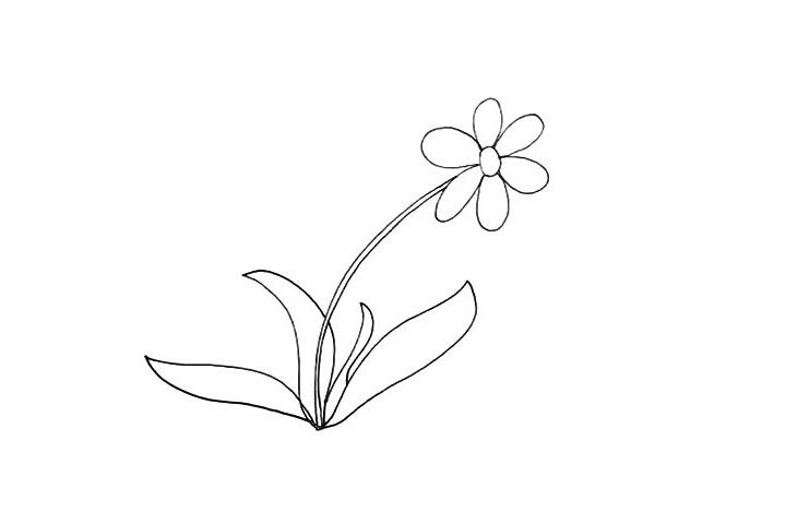 太阳花简笔画画法步骤