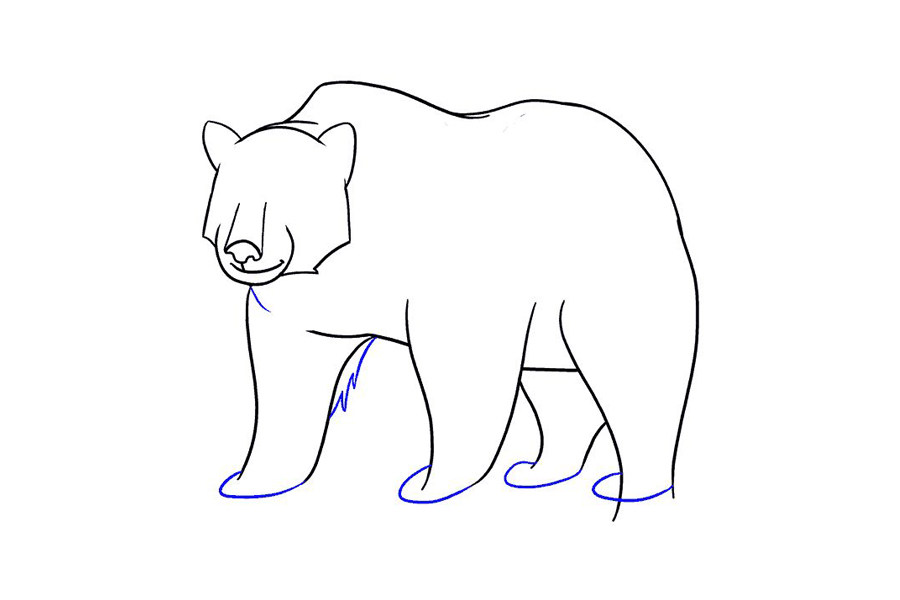 如何画棕熊