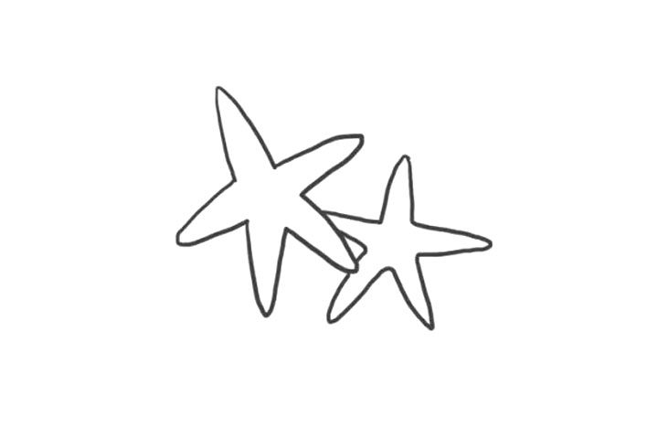海洋生物海星简笔画画法步骤