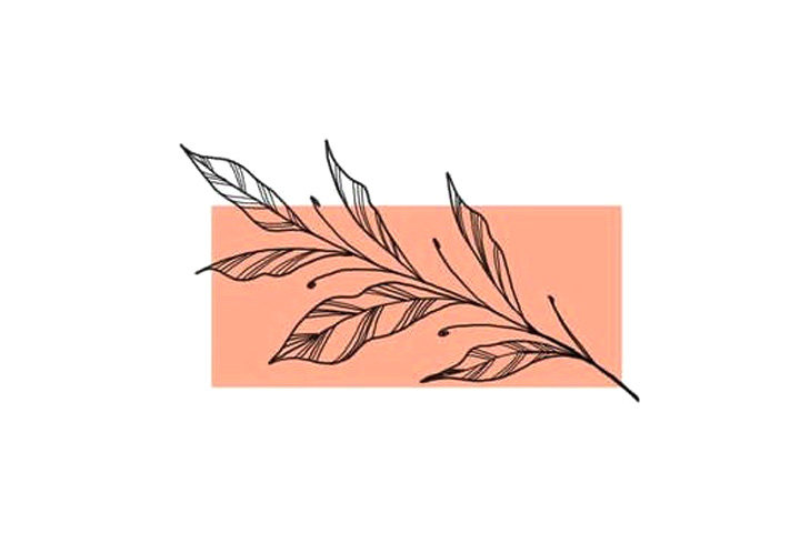 植物花草简笔画12种漂亮的小草简笔画图片